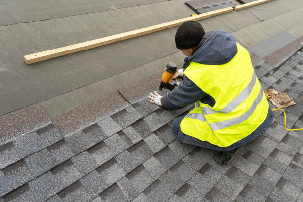 Roof Gutter Cleaning in Coplay, PA